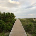 Profile Picture of Andrew Russamano (@andrewrussamano) on Instagram