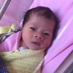 Profile Picture of Lily Ying (@lilyyyyyying) on Instagram