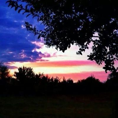 Profile Picture of Ray Crist (@rayrcrs1) on Twitter