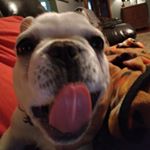 Profile Picture of cody jones (@codyjones39) on Instagram