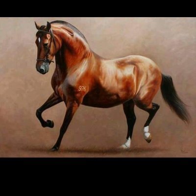 Profile Picture of Barbara Majeny Hernandez Nova (@MajenyNova) on Twitter