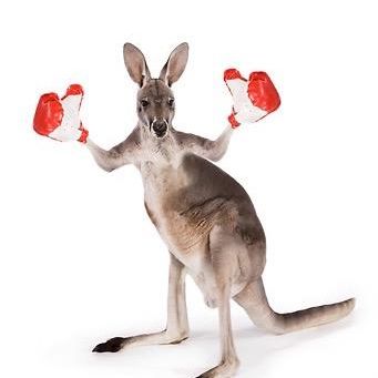 Profile Picture of Jimmy Paz (@jimmerson) on Tiktok