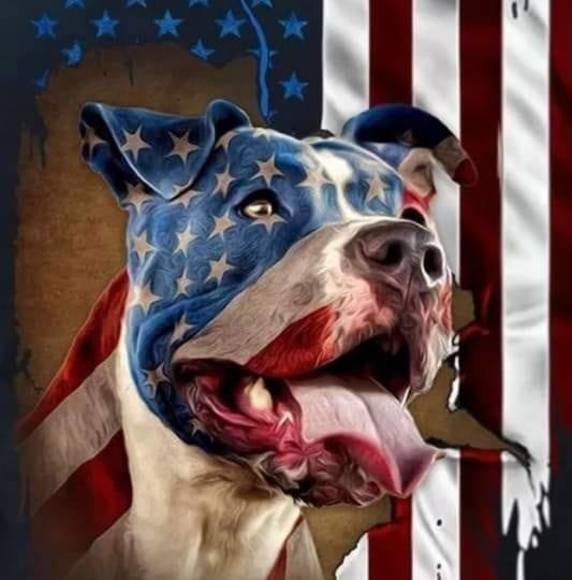 Profile Picture of Michael Ranck (@ranckmike) on Poshmark