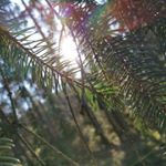 Profile Picture of Jerome✌🏼🌴 (@jjbrenner04) on Instagram