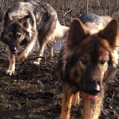 Profile Picture of Nancy Leonard (@leonar80msu) on Twitter