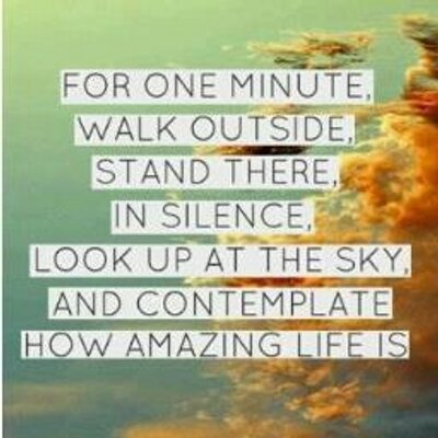 Profile Picture of Stephanie Craig (@Steph_E_Craig) on Twitter