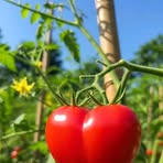 Profile Picture of San Go Kou (@carl.max.476206) on Facebook