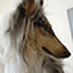 Profile Picture of Mike Pierson (@mikeypd300) on Flickr