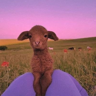 Profile Picture of Jaja (@JusCabase) on Twitter