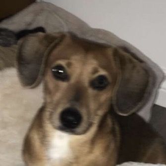 Profile Picture of Todd (@toddkellier) on Tiktok