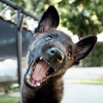 Apollo Paul - Instagram Profile Picture of Apollo Paul (@apollothek9) on Instagram