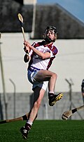 Profile Picture of Brian Molloy (hurler)on Wikipedia