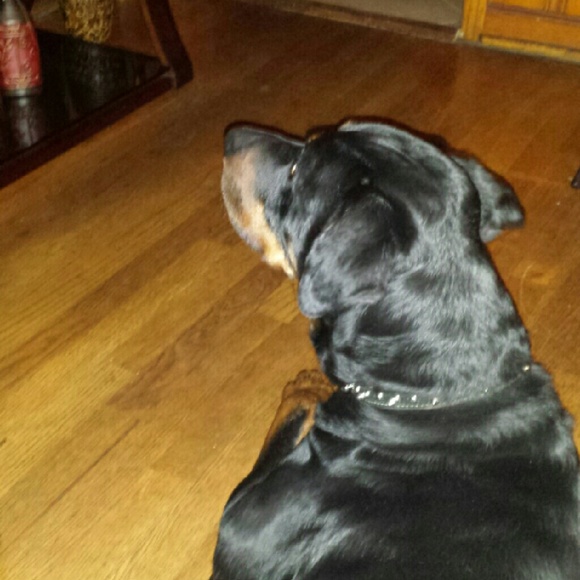 Worthdia Chambers - Poshmark Profile Picture of Worthdia Chambers (@worthdiac) on Poshmark