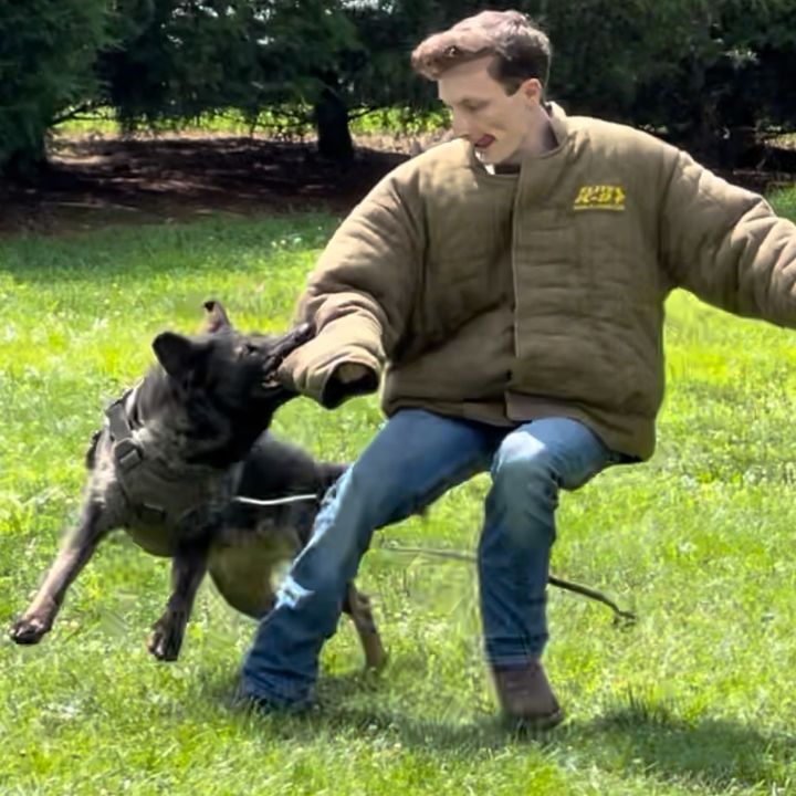 Profile Picture of Andrew Milnamow (@drewthedecoy) on Tiktok