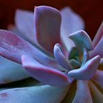 Profile Picture of Michael Clemenson (@mdclemenson) on Flickr