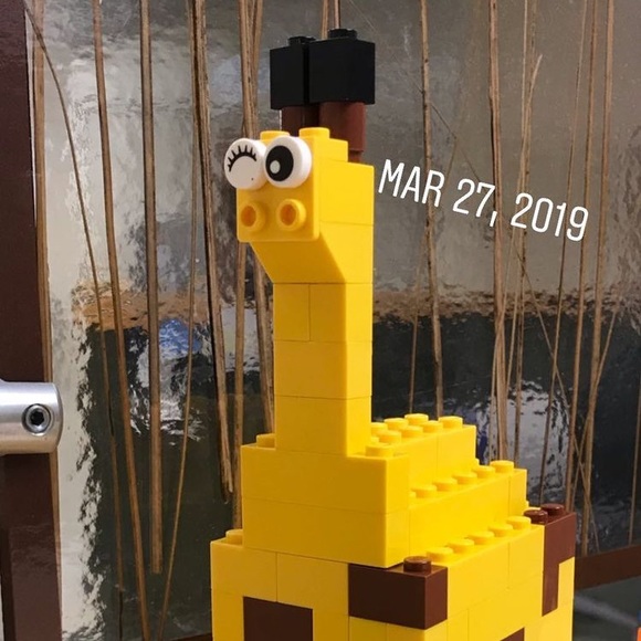 Profile Picture of Cindy Xiong (@affygiraffy) on Poshmark