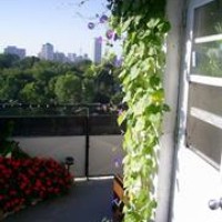 Profile Picture of Joyce Stewart (@joyce-stewart-2) on Quora