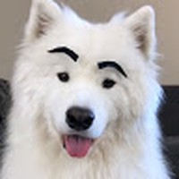 Profile Picture of Kevin Portillo (@kevin-portillo-46) on Quora