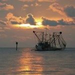 Peggy Brent Gorman - Instagram Profile Picture of Peggy Brent Gorman (@pbg0822) on Instagram