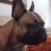 Profile Picture of Edward Jimenez (@edward.jimenez.5891) on Facebook