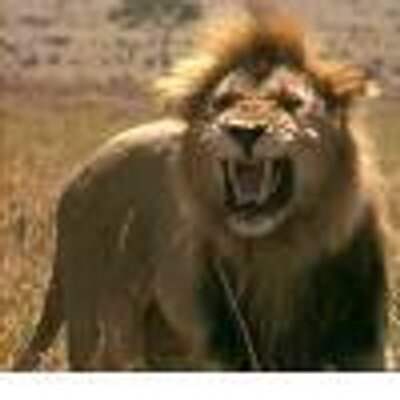 Profile Picture of Christopher Hastie (@ChrisMHastie) on Twitter