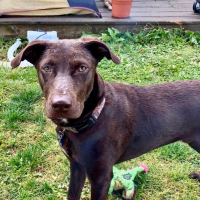 Profile Picture of Dominique Kaneaster (@DKaneaster) on Twitter