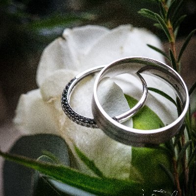 Profile Picture of Vince & Tracy - Photographers (@GroomeVincent) on Twitter