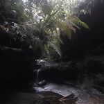 Profile Picture of Kylie (@kylie_barber) on Instagram