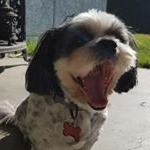 Profile Picture of Joshua Casillas (@josh_casillas42) on Instagram