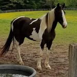 Profile Picture of Kathy Lucas Carroll (@1kathy_carroll1) on Instagram