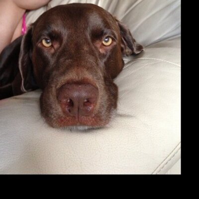 Profile Picture of ScottKaye (@thehefer) on Twitter