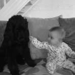 Profile Picture of Isabella Holland (@Isabella-Holland) on Facebook