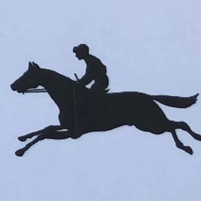 Profile Picture of MOYNEARD STABLES John P Quinlan & Sons (@MoyneardStables) on Twitter