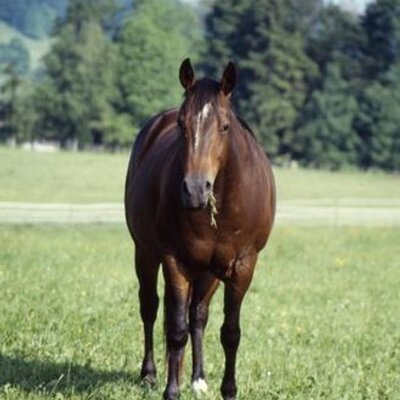 Profile Picture of Slagle Seth (@SlagleSeth967) on Twitter