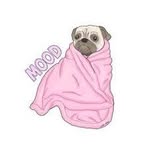 Profile Picture of Jessica Anttila (@jessica.anttila.549) on Facebook