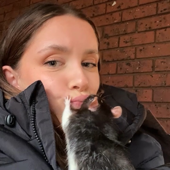 Grace Tancred - Poshmark Profile Picture of Grace Tancred (@gracetancred) on Poshmark