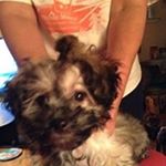 Profile Picture of Cindy Lazarus (@lazaruscindy) on Instagram