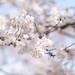 Profile Picture of lamar nelson (@lamarnelson338) on Instagram