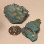 Profile Picture of Paul Gollop (@gippy_turquoise) on Instagram