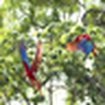 Profile Picture of joseesquivel4 (@joseesquivel4) on Flickr