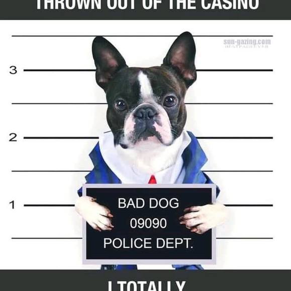 Profile Picture of Michael Williamson (@michaelwilli888) on Poshmark