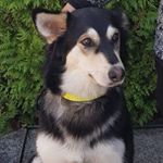 Profile Picture of Ingrid Jäger (@ingridrjaeger) on Instagram