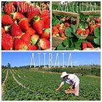 Profile Picture of bill ribeiro (@billribeiro45) on Instagram