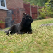 Profile Picture of Ismail Rashid (@IsmailRashid-l7h) on Youtube