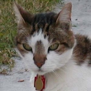 Profile Picture of Ron Haines (@382293266) on Myspace