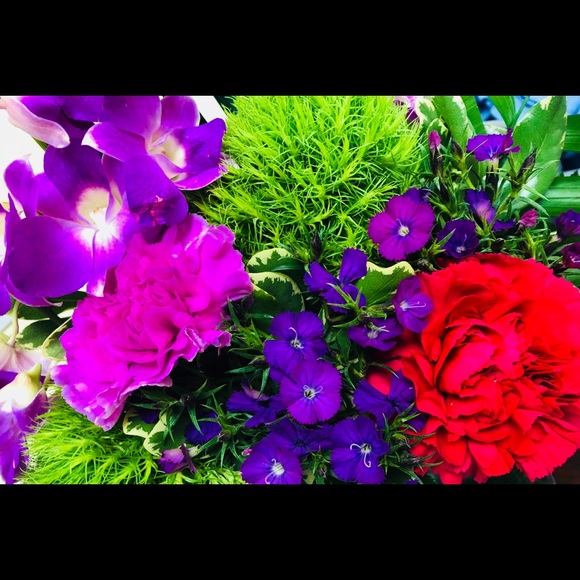 Nadia Beepath - Poshmark Profile Picture of Nadia Beepath (@nbeepath83) on Poshmark