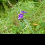 Profile Picture of mark_kopp (@mark_kopp) on Instagram