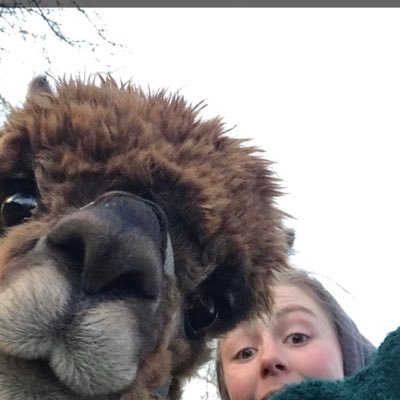 Profile Picture of Dani Cummings (@danicummings9) on Twitter