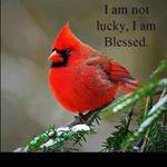 Profile Picture of Lisa Buse (@lisa_buse) on Instagram