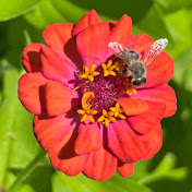 Profile Picture of Kevin J. Killen (@kevinkillen) on Youtube